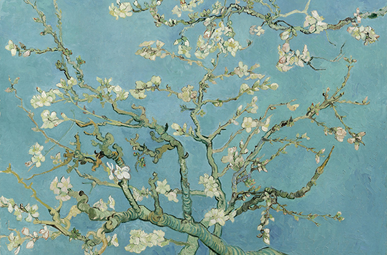 V. van Gogh, Ramo di mandorlo in fiore, 1890 (Pubblico dominio)