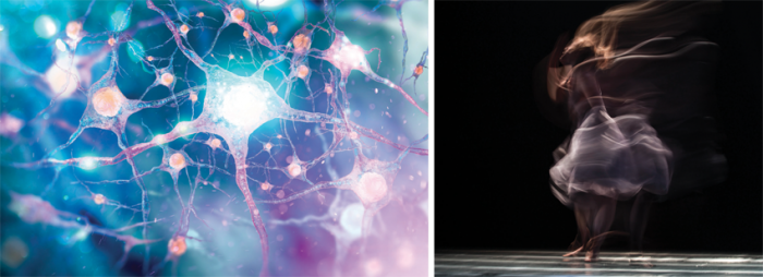 Neuroscienze e arte